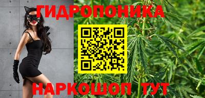 прущие грибы Рузаевка