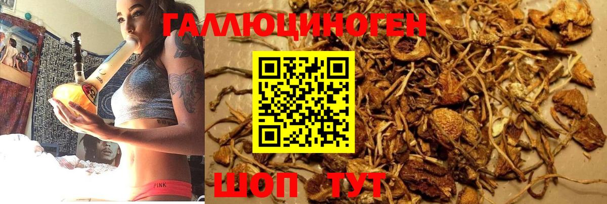Галлюциногенные грибы мицелий Орехово-Зуево