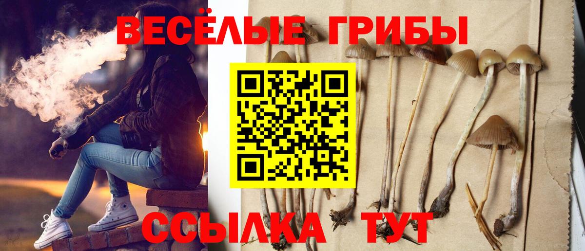 Орехово-Зуево  Галлюциногенные грибы ЛСД  Галлюциногенные грибы прущие грибы  цена   Вход с VPN 